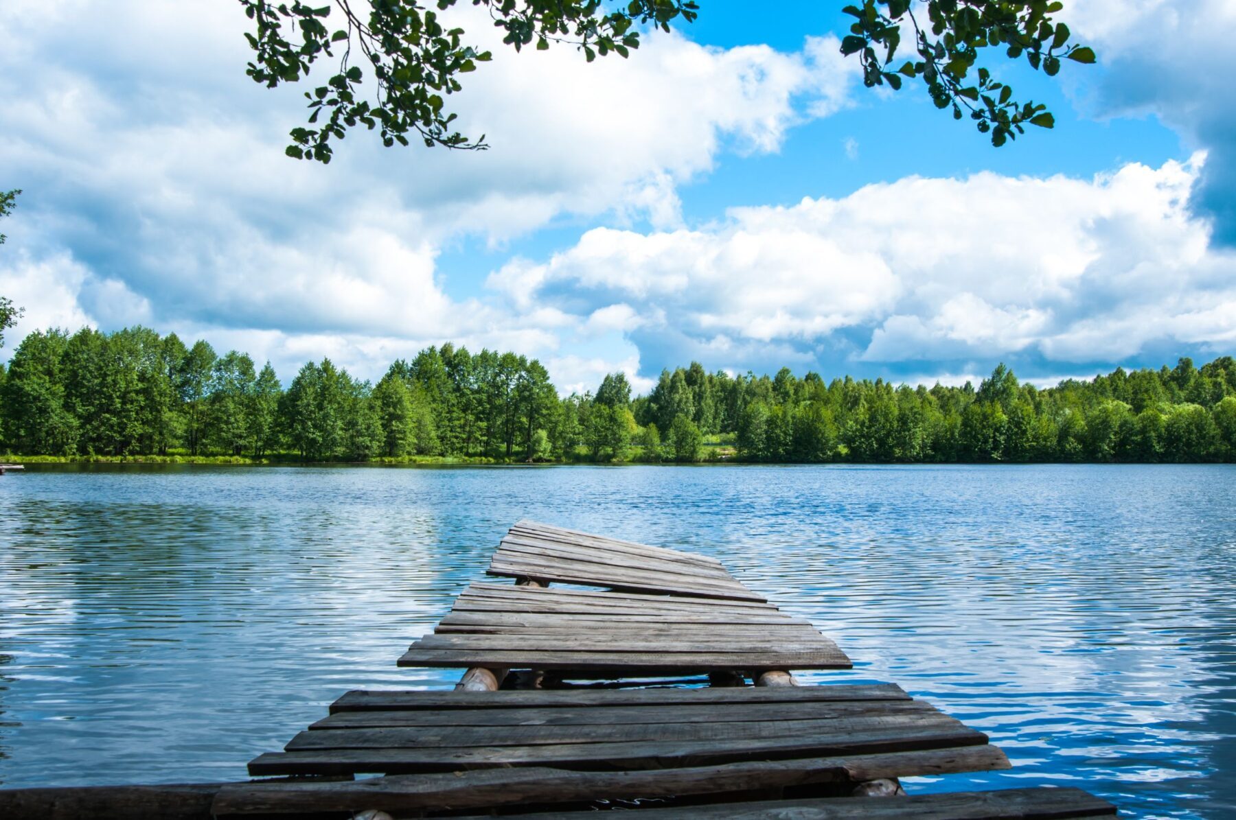 Holzsteg, der in einen See führt.